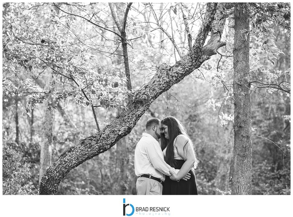 Engagement Photographer Wells Mills Park