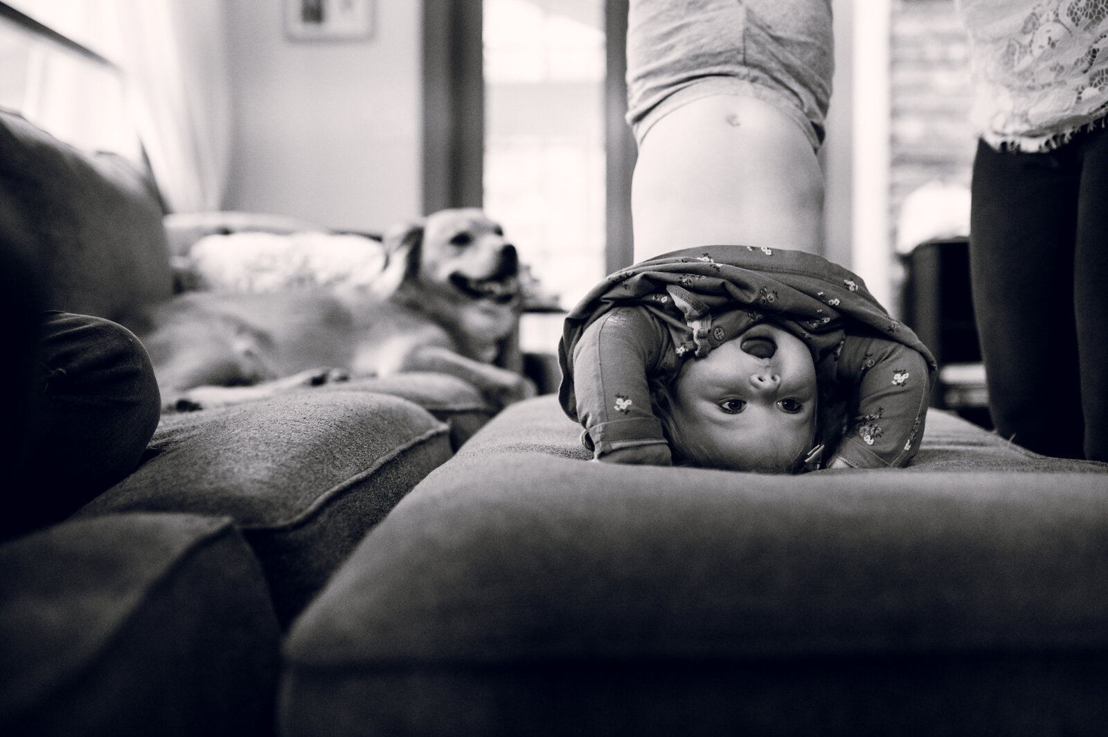 little girl doing a handstand with a dog in the background