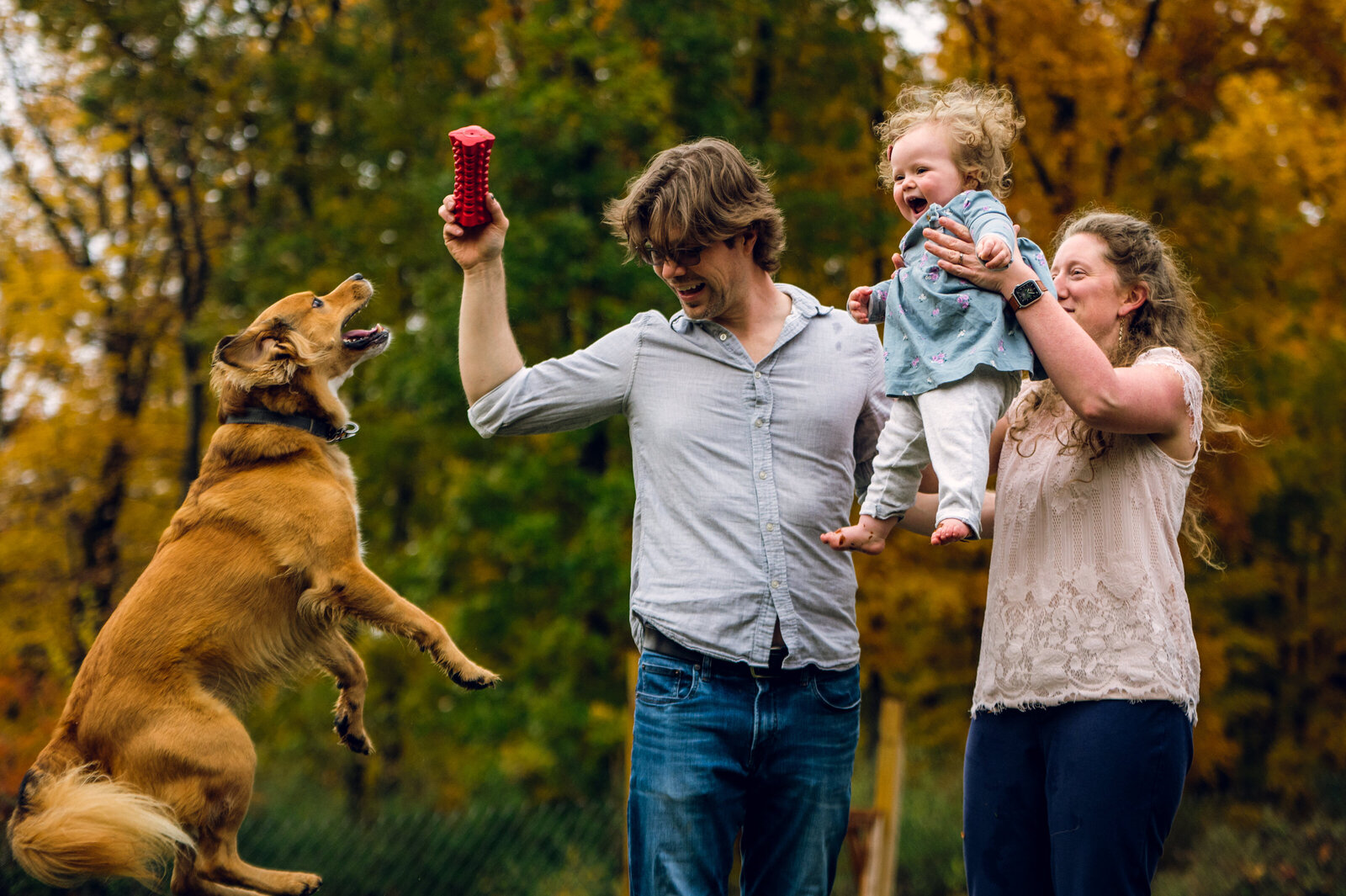 mom holding up toddler while dad holds a toy near a jumping dog